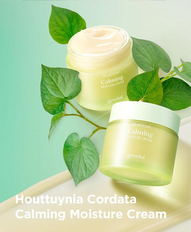 Heartleaf Houttuynia Calming Moisture Cream Set [GOODAL] Korean Beauty - K Beauty 4 Biz